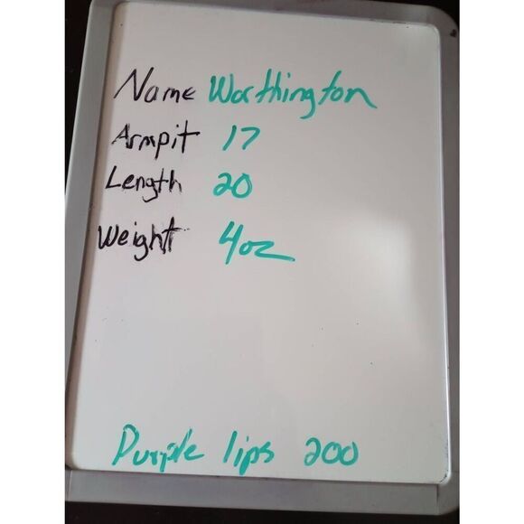 2 for 30 Worthington Blouse Ladies Small Sleeveless Light Weight - Picture 6 of 6